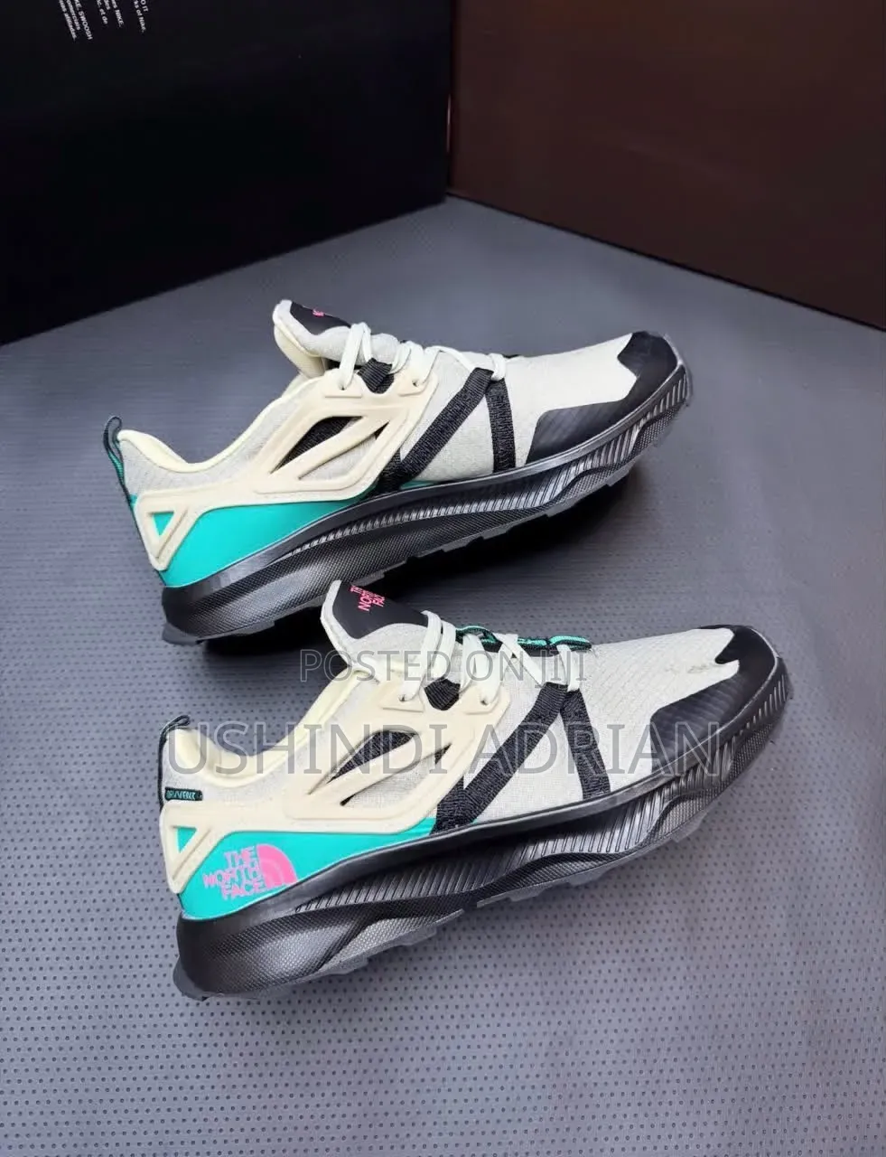 North Face Shoes