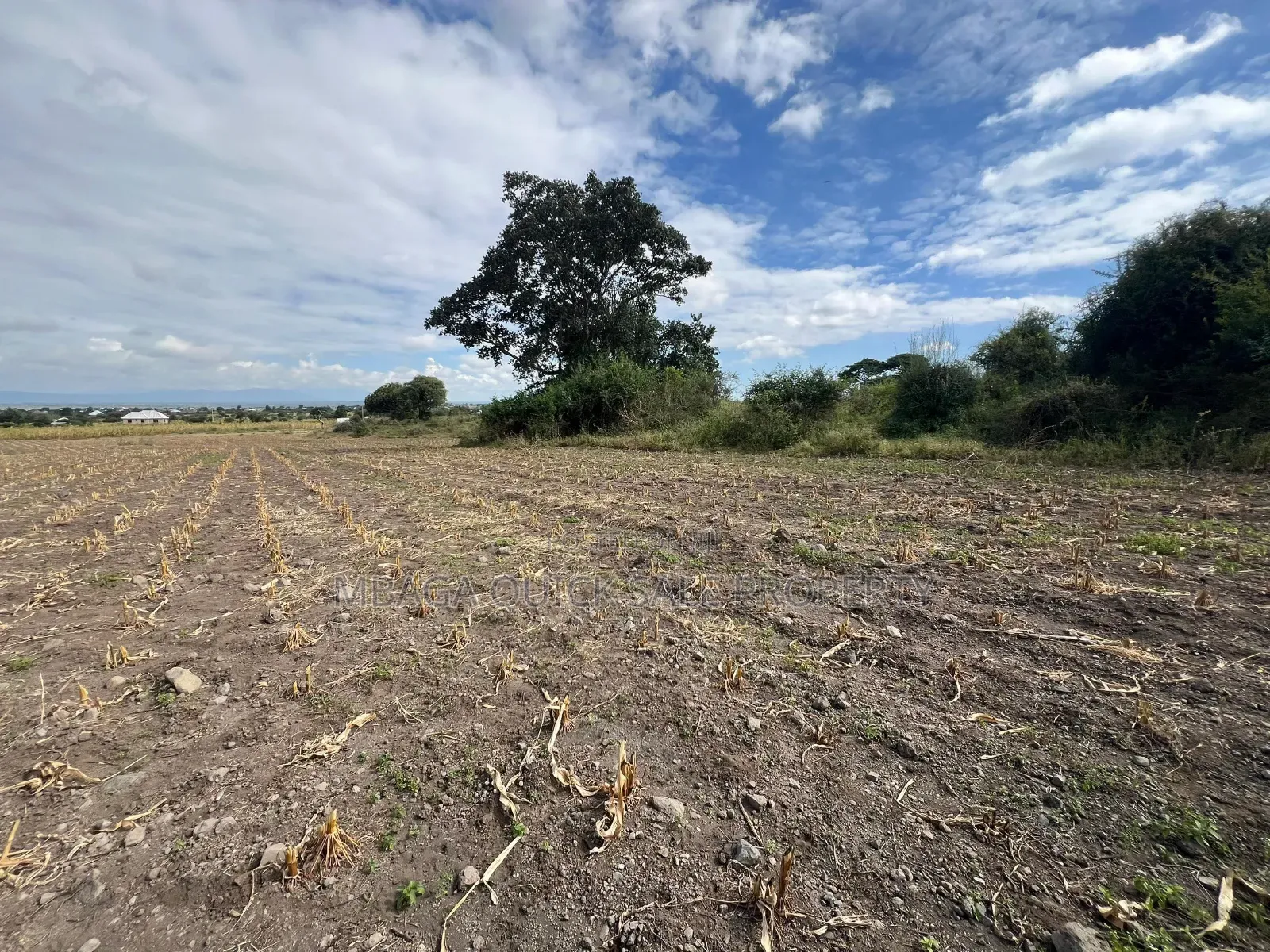 Plot Area SQM for Sale