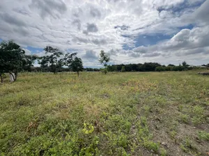 Plot Area SQM for Sale