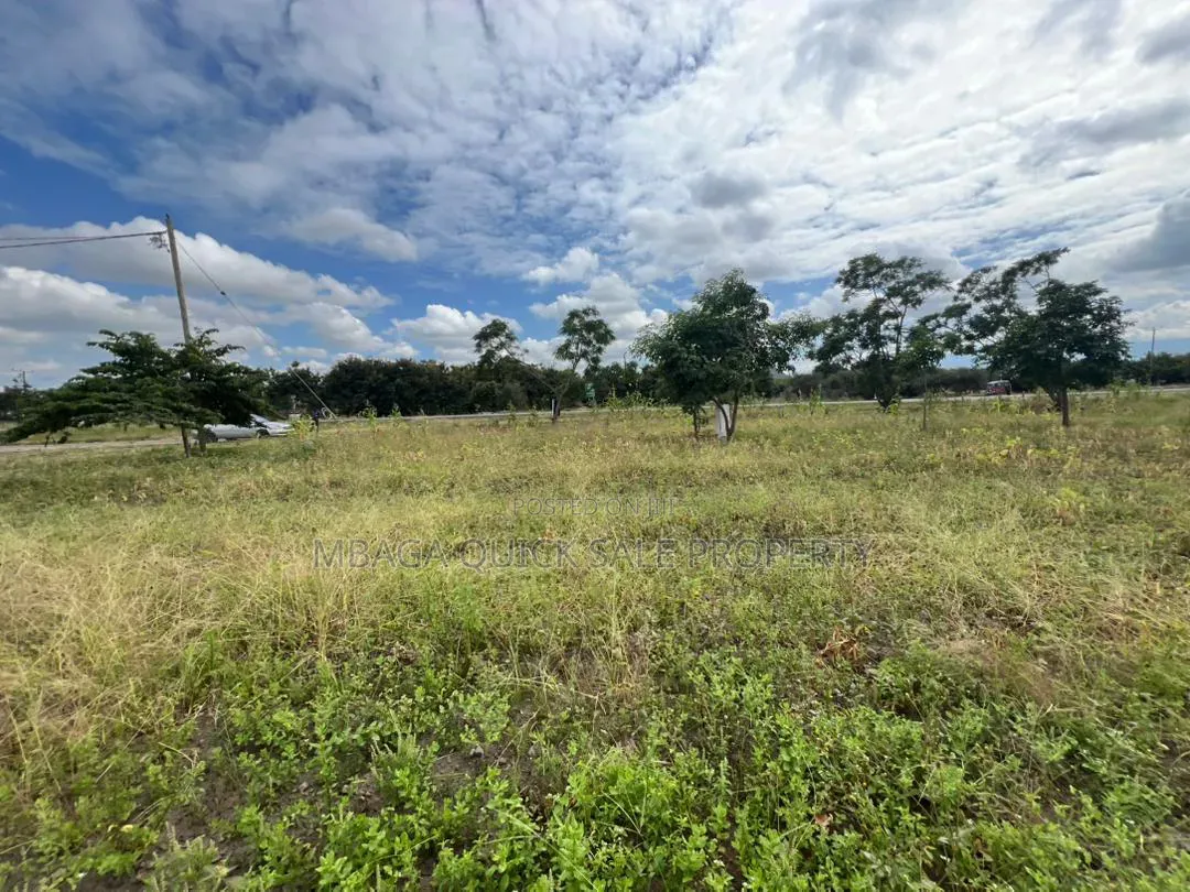 Plot Area SQM for Sale