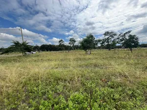 Plot Area SQM for Sale