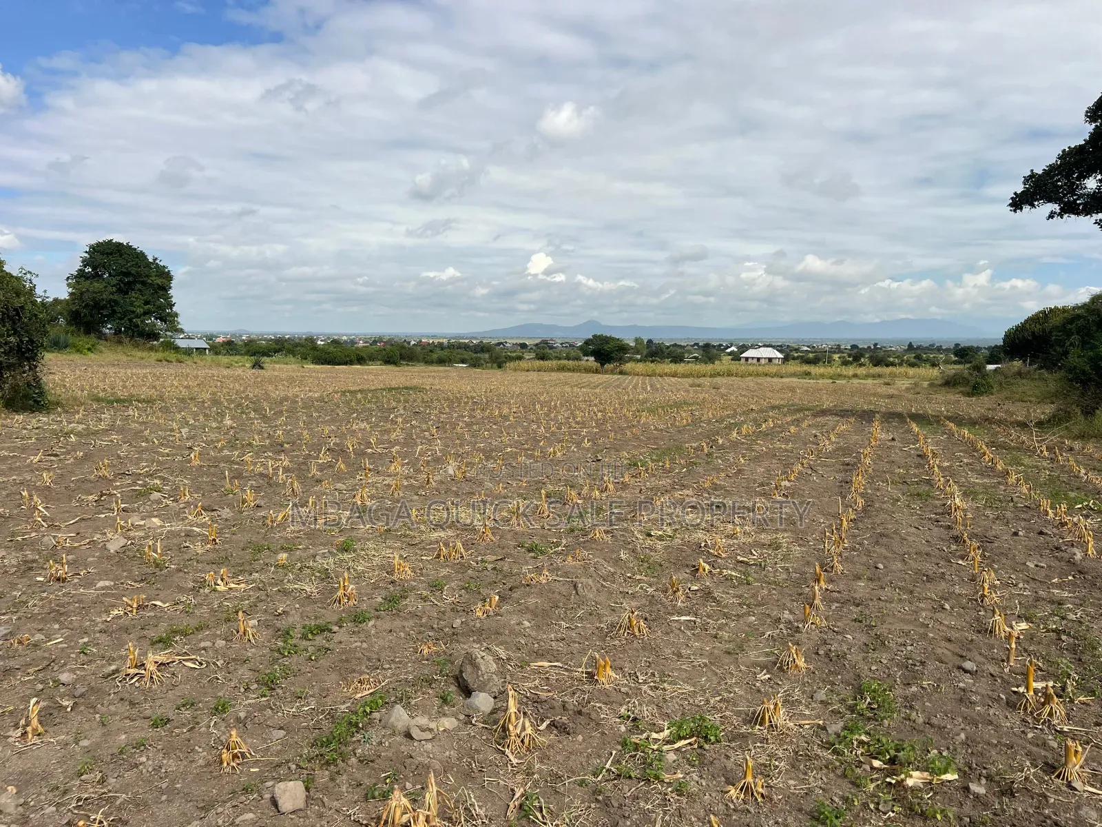 Plot Area SQM for Sale