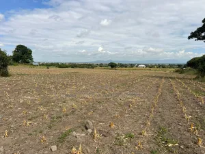 Plot Area SQM for Sale