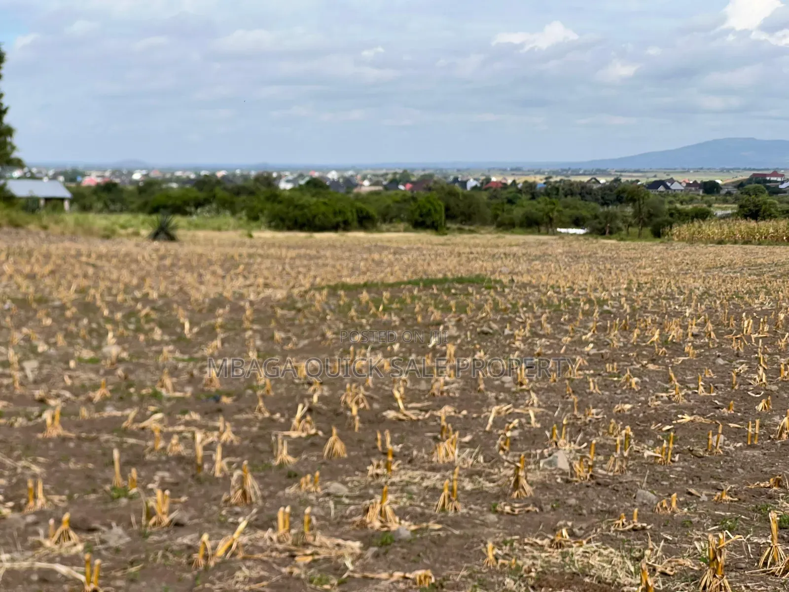 Plot Area SQM for Sale