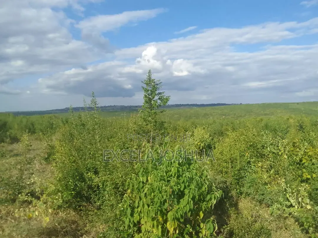Shamba Linauzwa Kiwangwa Bagamoyo