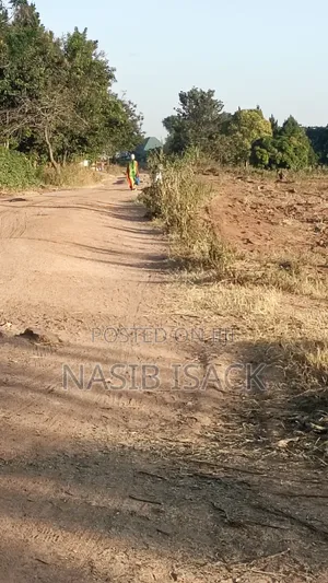 Plot for Sale Nyamhogoro Mwanza
