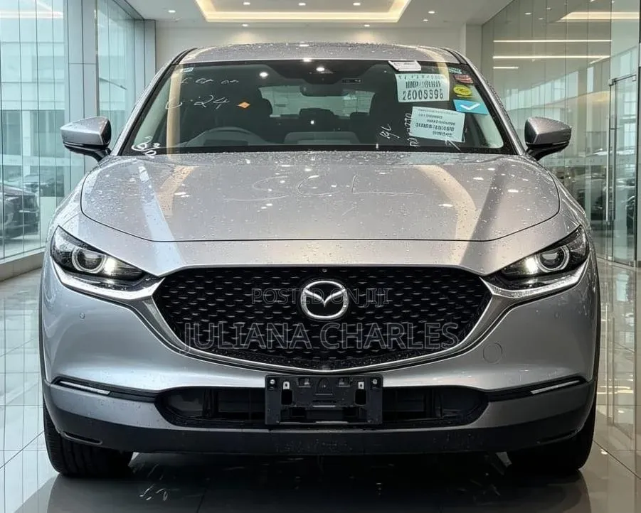 Mazda CX-3 2017 Silver