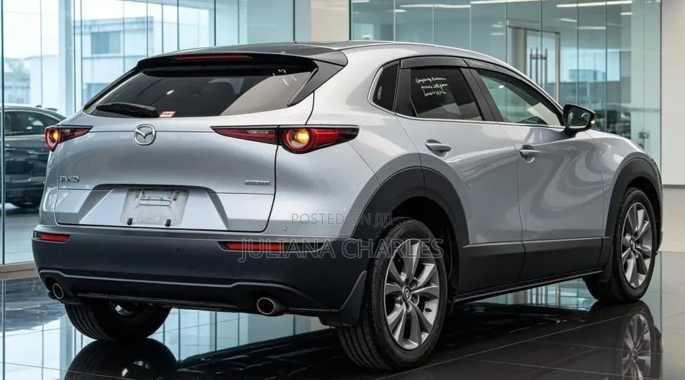 Mazda CX-3 2017 Silver