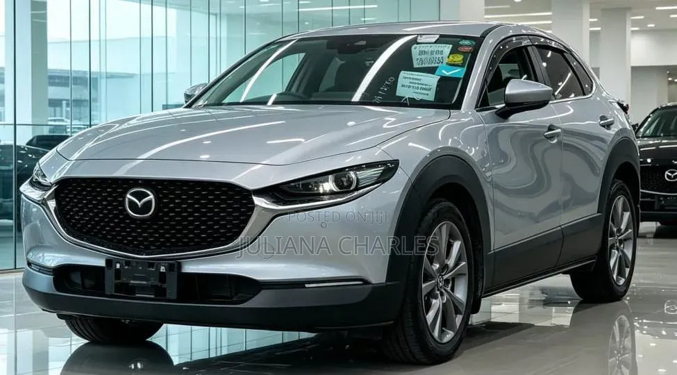 Mazda CX-3 2017 Silver