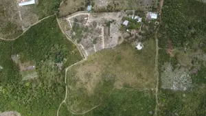 8 Acres Title Deed Land With Houses, Solar, Wind Fruit Park -