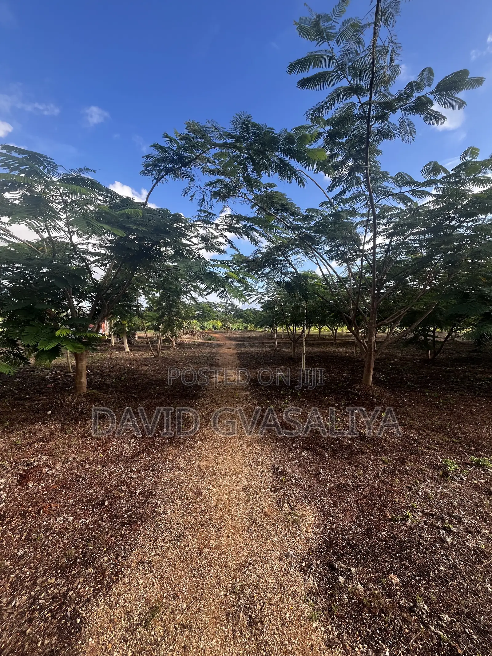 8 Acres Title Deed Land With Houses, Solar, Wind Fruit Park -