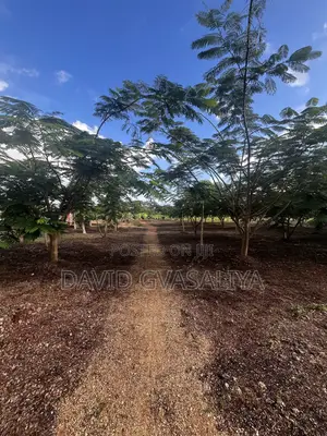 8 Acres Title Deed Land With Houses, Solar, Wind Fruit Park -