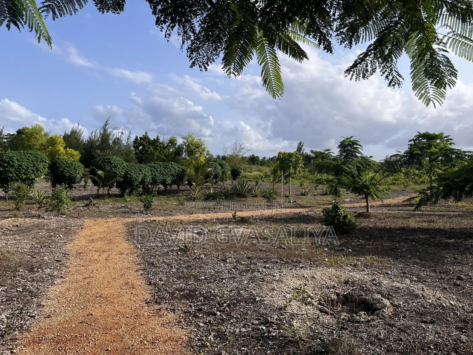 8 Acres Title Deed Land With Houses, Solar, Wind Fruit Park -