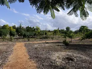 8 Acres Title Deed Land With Houses, Solar, Wind Fruit Park -