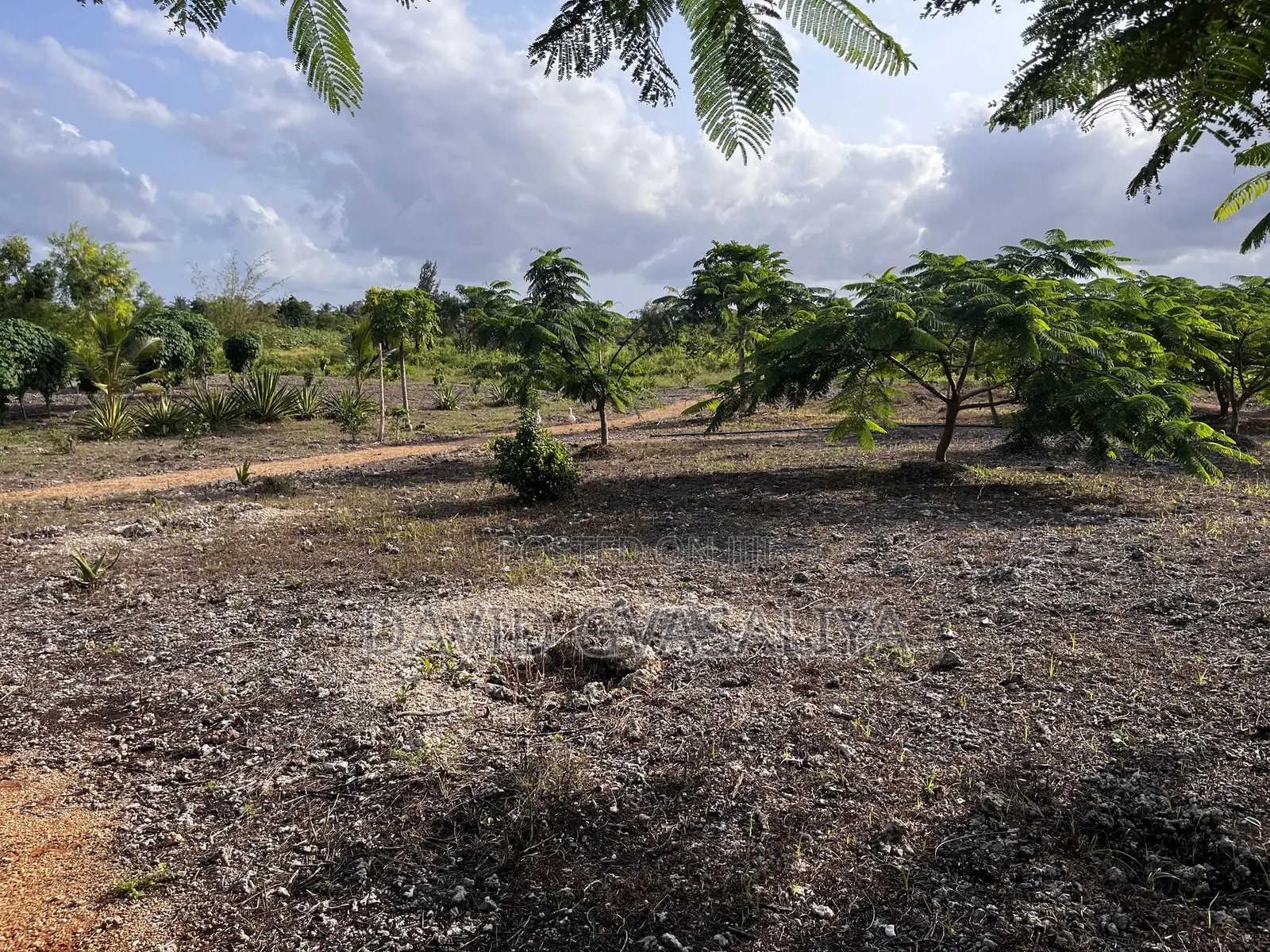 8 Acres Title Deed Land With Houses, Solar, Wind Fruit Park -
