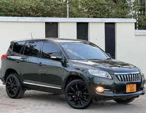 Toyota Vanguard 2010 Green