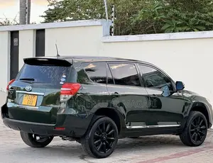 Toyota Vanguard 2010 Green