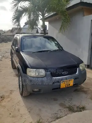 Ford Escape 2006 Gray