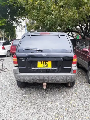 Ford Escape 2006 Gray