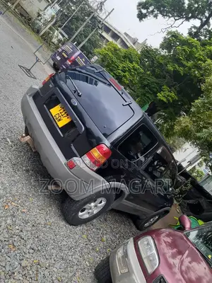 Ford Escape 2006 Gray