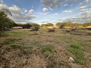 Prime 3-Acre Investment Property for Sale – Kisongo, Arusha