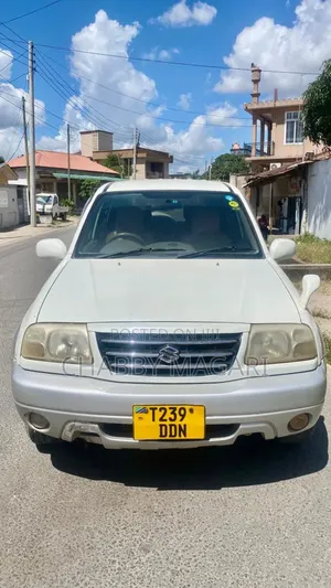 Suzuki Escudo 2003 Pearl