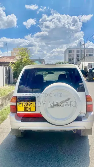 Suzuki Escudo 2003 Pearl