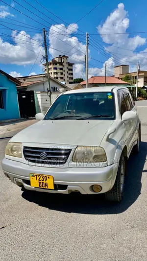 Suzuki Escudo 2003 Pearl
