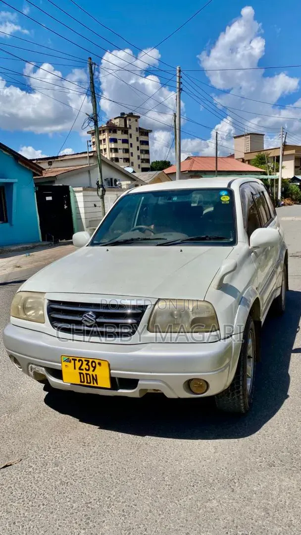 Suzuki Escudo 2003 Pearl