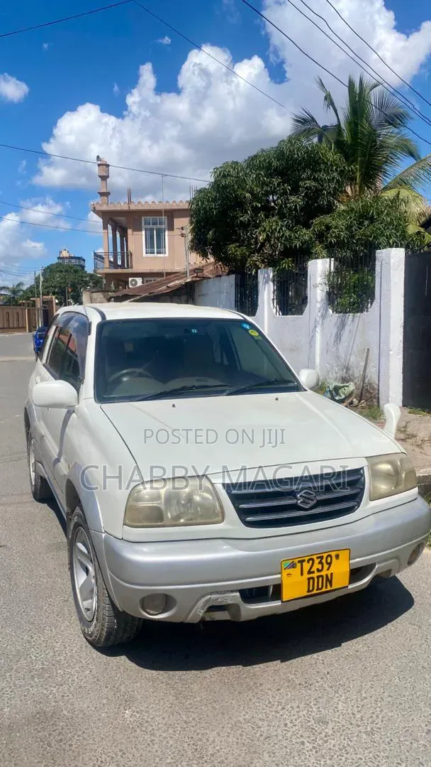 Suzuki Escudo 2003 Pearl