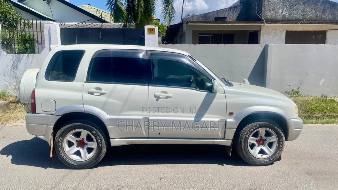 Suzuki Escudo 2003 Pearl