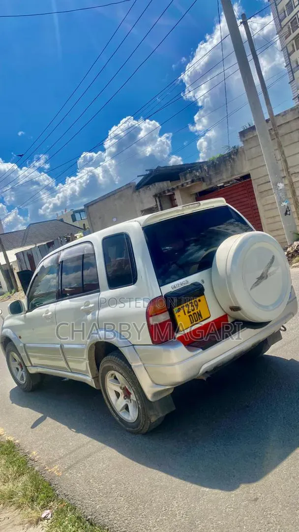 Suzuki Escudo 2003 Pearl