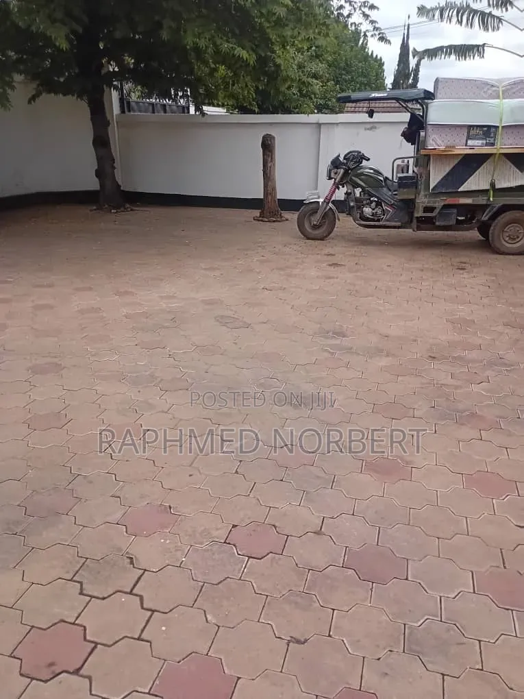 3bdrm House in Tanzania Real, Central Business Area for rent