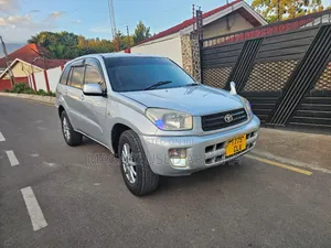 Toyota RAV4 2004 Silver