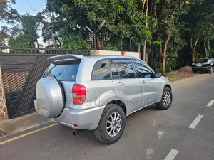 Toyota RAV4 2004 Silver