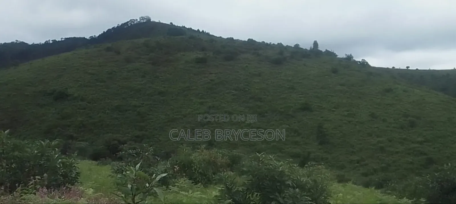 Shamba Lenye Rutuba