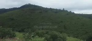Shamba Lenye Rutuba