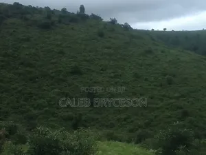 Shamba Lenye Rutuba