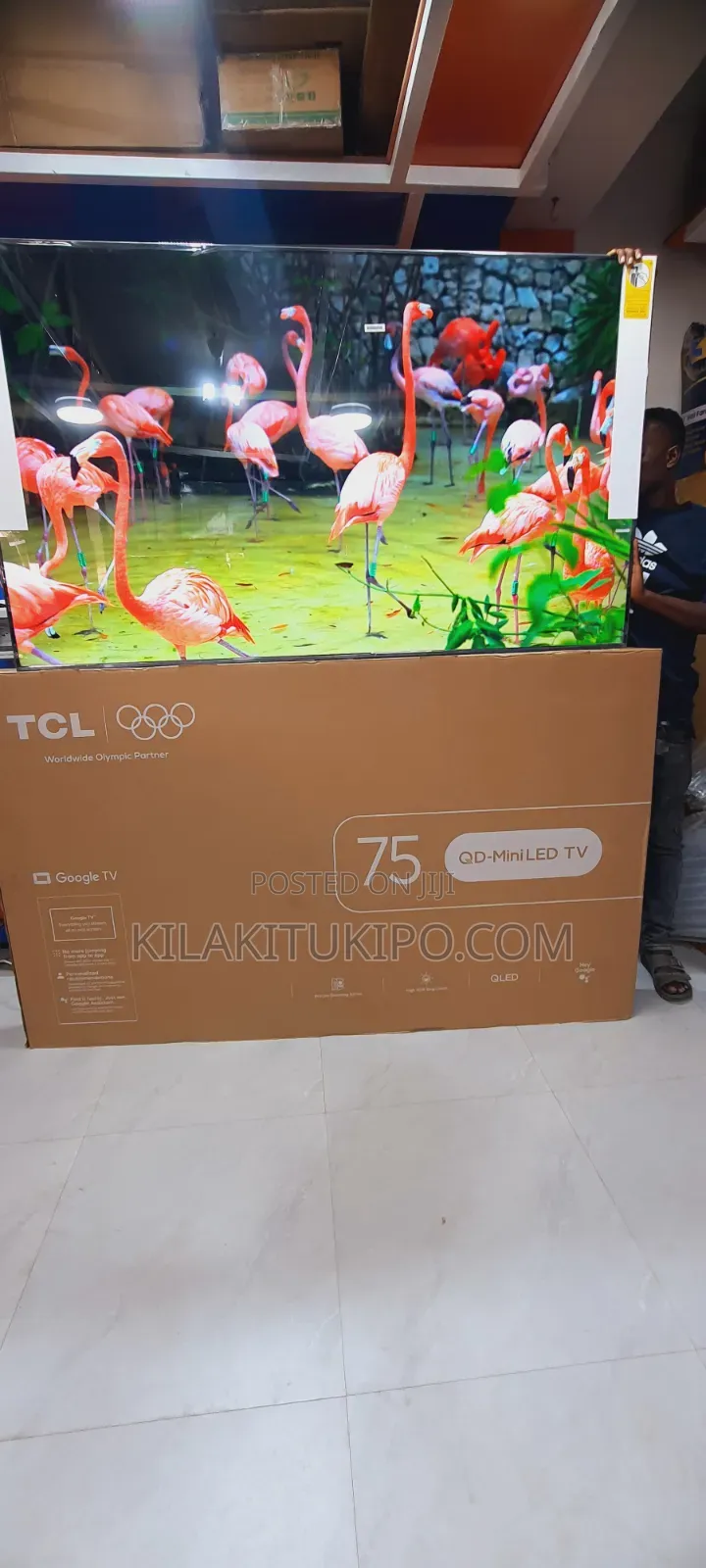 TCL 75 Qd-Min Led Tv Qled Inch 75