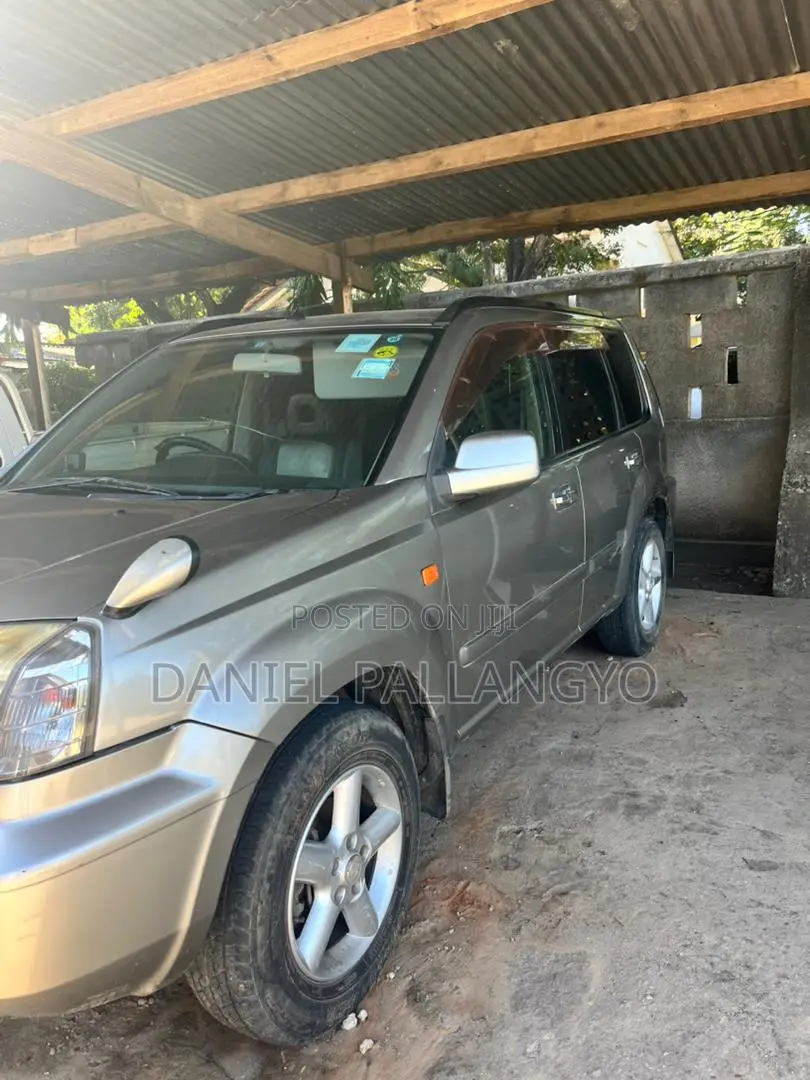 Nissan X-Trail 2.0 2003 Silver