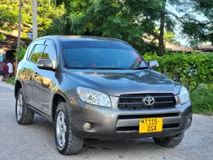 Toyota RAV4 2005 Gray