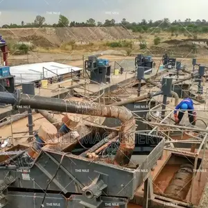Tanzania 100 TPD Small Scale Gold Cil Cip Plant Leaching Equipment