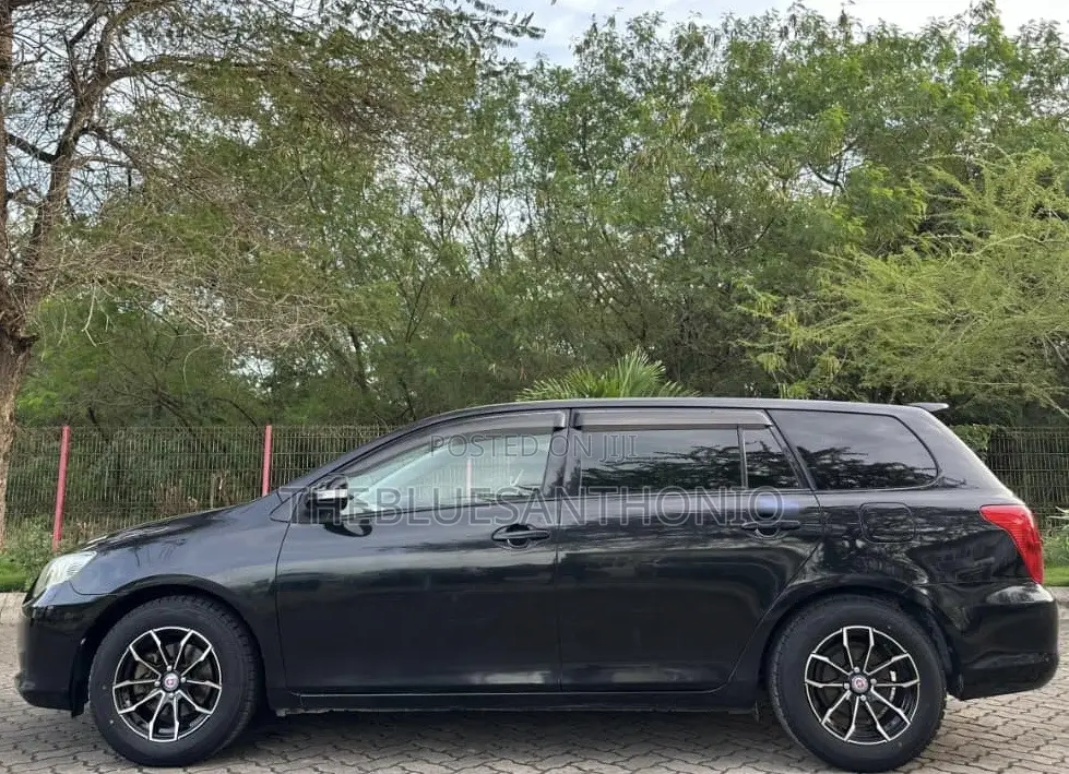 Toyota Corolla Fielder 2008 Black