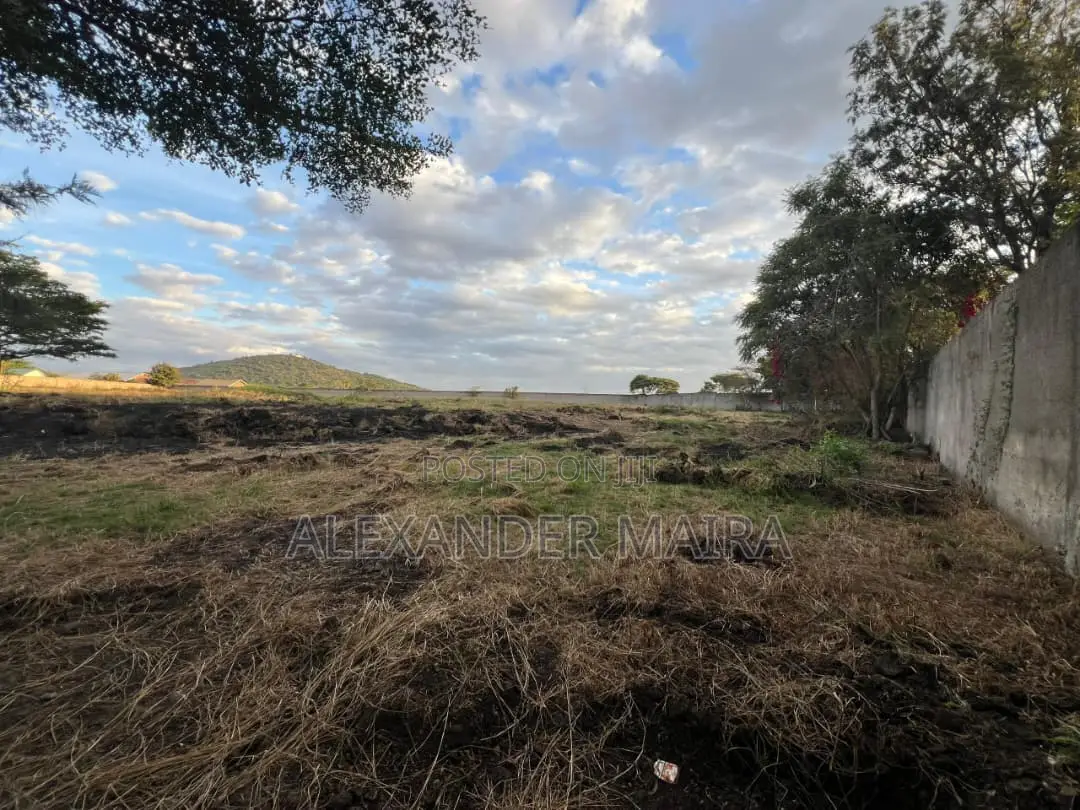 Prime 3-Acre Investment Property for Sale – Kisongo, Arusha