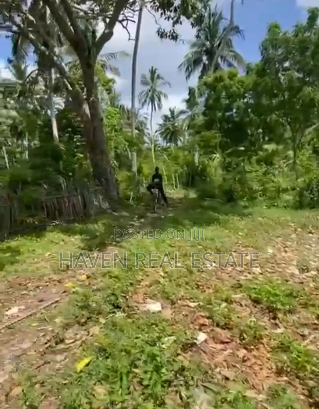 Beach Plot for Sale at Zanzibar