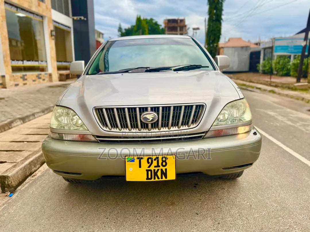 Toyota Harrier 2004 Beige