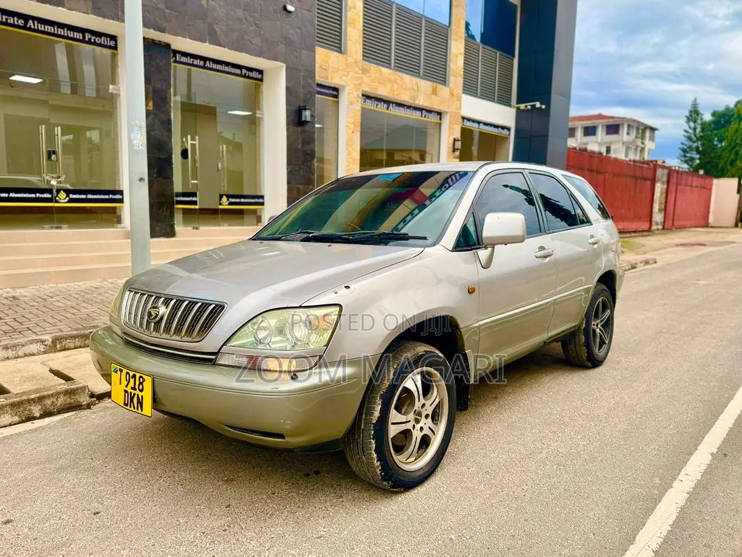 Toyota Harrier 2004 Beige