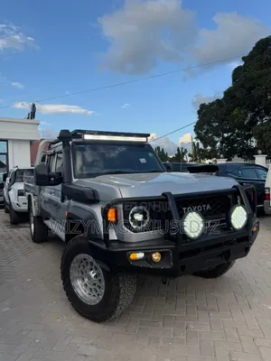 Toyota Land Cruiser 2024 Gray
