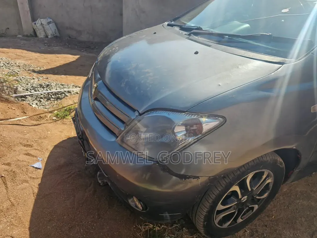 Toyota IST 2005 Gray