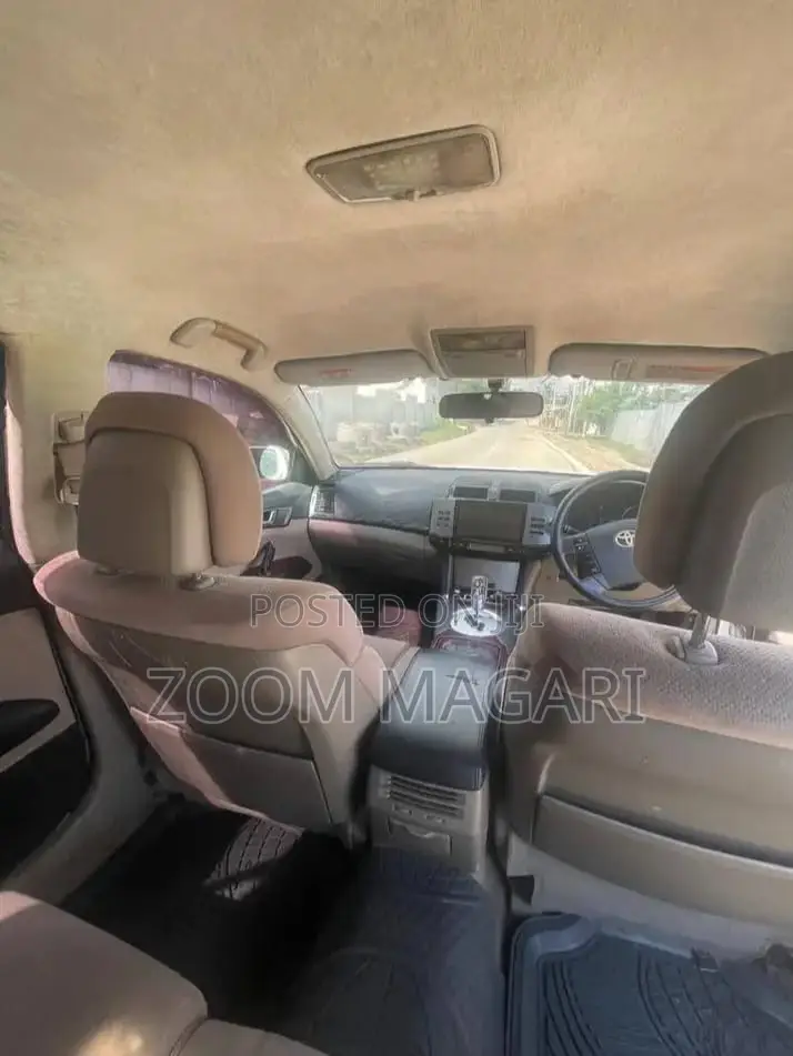 Toyota Mark X 2007 Pearl